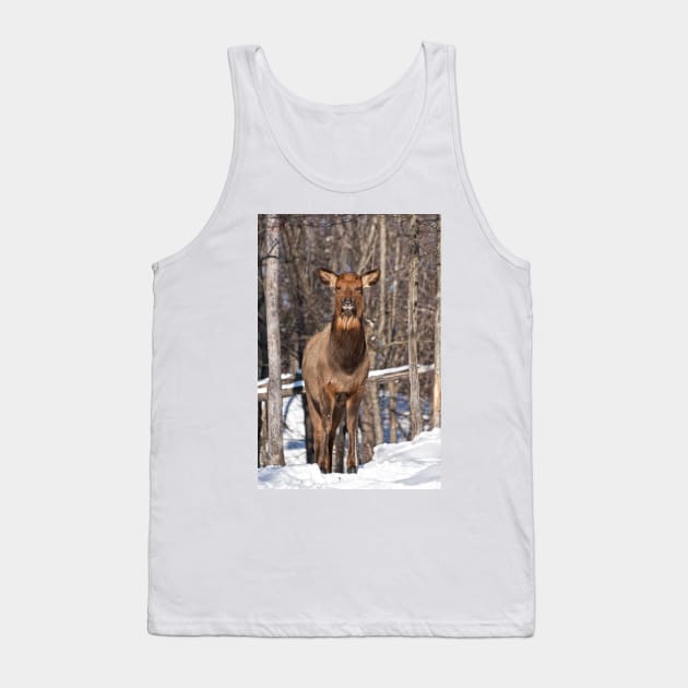 Elk Tank Top by jaydee1400